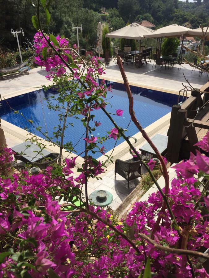 The Stone Castle Boutique Hotel Ağaçlı Buitenkant foto